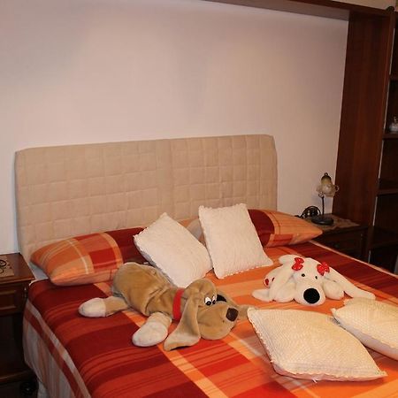 Apartament Patrick'S House Belluno Zewnętrze zdjęcie